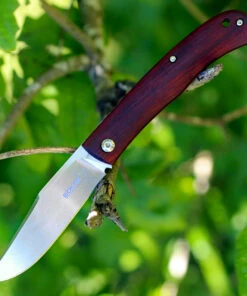 Boker Plus 01BO069 Slack, 3.2" VG-10 Plain Blade, Cocobolo Handle