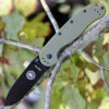 BRK Avispa 1302ODB, 3.5", Black EDP Coated D2 Steel, Plain Edge, Drop Point, Design by Esee Knives, OD Green Nylon handles