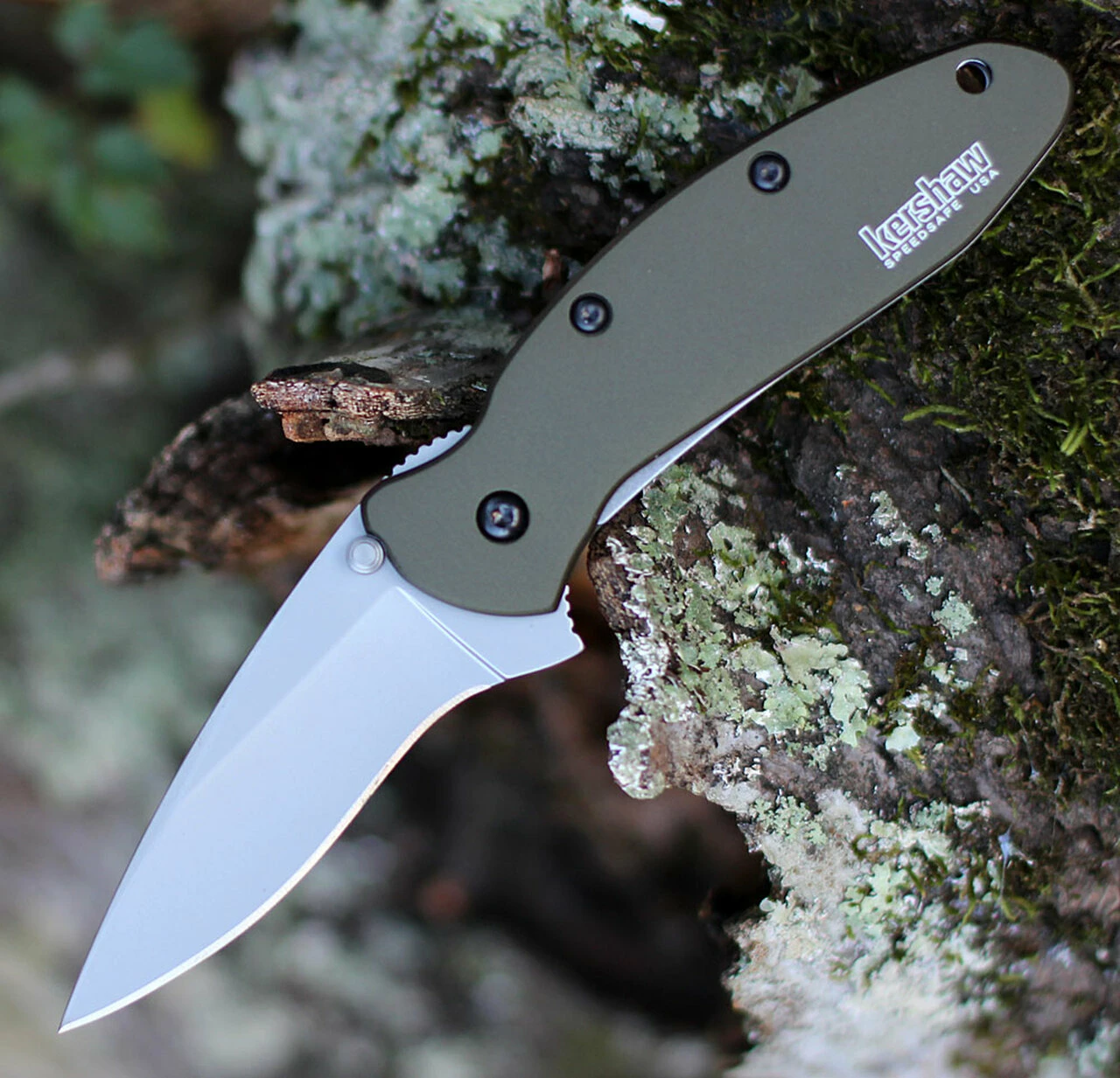 Kershaw Knives Kershaw 1620OL Scallion, 2.25" 420HC SS Plain Blade, Olive Aluminum Handle 1 Kershaw Knives Kershaw 1620OL Scallion, 2.25" 420HC SS Plain Blade, Olive Aluminum Handle