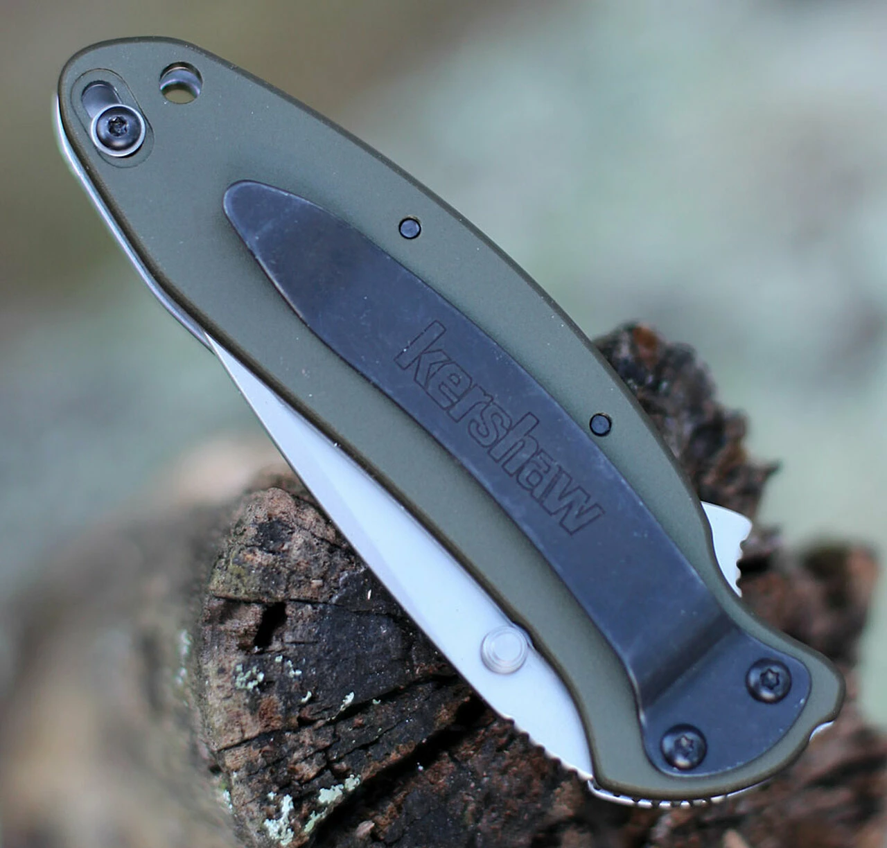 Kershaw Knives Kershaw 1620OL Scallion, 2.25" 420HC SS Plain Blade, Olive Aluminum Handle 4 Kershaw Knives Kershaw 1620OL Scallion, 2.25" 420HC SS Plain Blade, Olive Aluminum Handle - Image 4