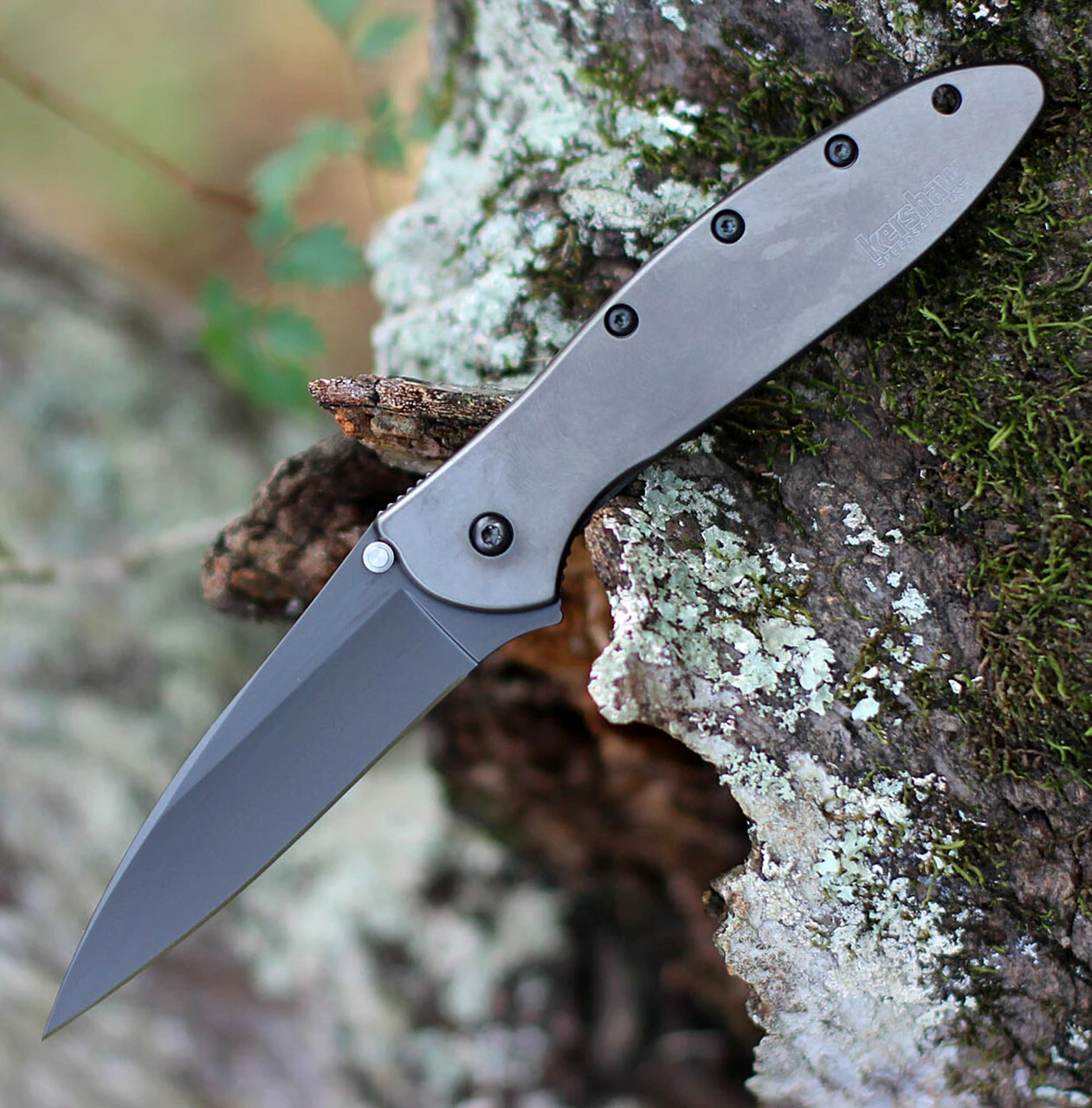 Kershaw Knives Kershaw 1660GRY Leek, 3" Sandvik 14C28N Gray Plain Blade, Gray 410 SS Handle 1 Kershaw Knives Kershaw 1660GRY Leek, 3" Sandvik 14C28N Gray Plain Blade, Gray 410 SS Handle