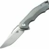 Bestech Knives BTKT1708B Tercel Frame Lock, 3.50" CPM-S35VN Stonewash Blade, Gray Titanium Handle
