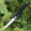 Artisan Cutlery Artisan S Waistline ATZ1805PBKF, 3.94" D2 Plain Blade, Black Flat G-10 Handle