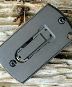 Spyderco Knives Spyderco Dog Tag Gen4 C188ALP, 1.18" CTS BD1 -Buck Knives Sales 188alp 43764.1566585951