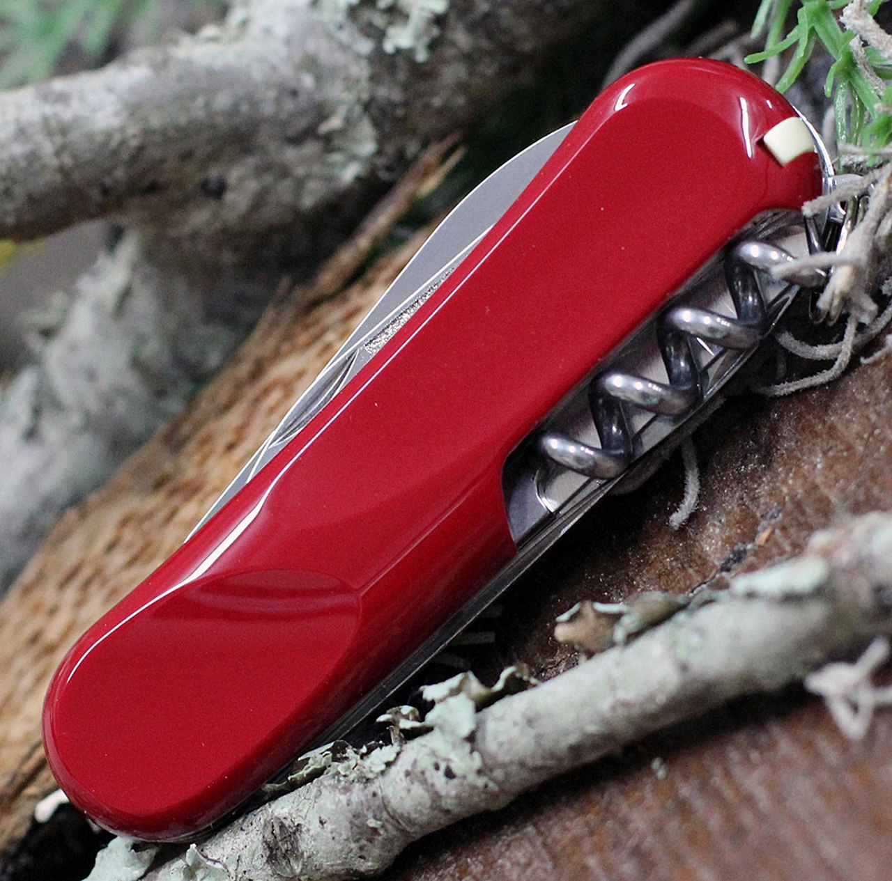 Victorinox Swiss Army Evolution 10 Swiss Army Knife, 13 Functions, Red 2 Victorinox Swiss Army Evolution 10 Swiss Army Knife, 13 Functions, Red - Image 2