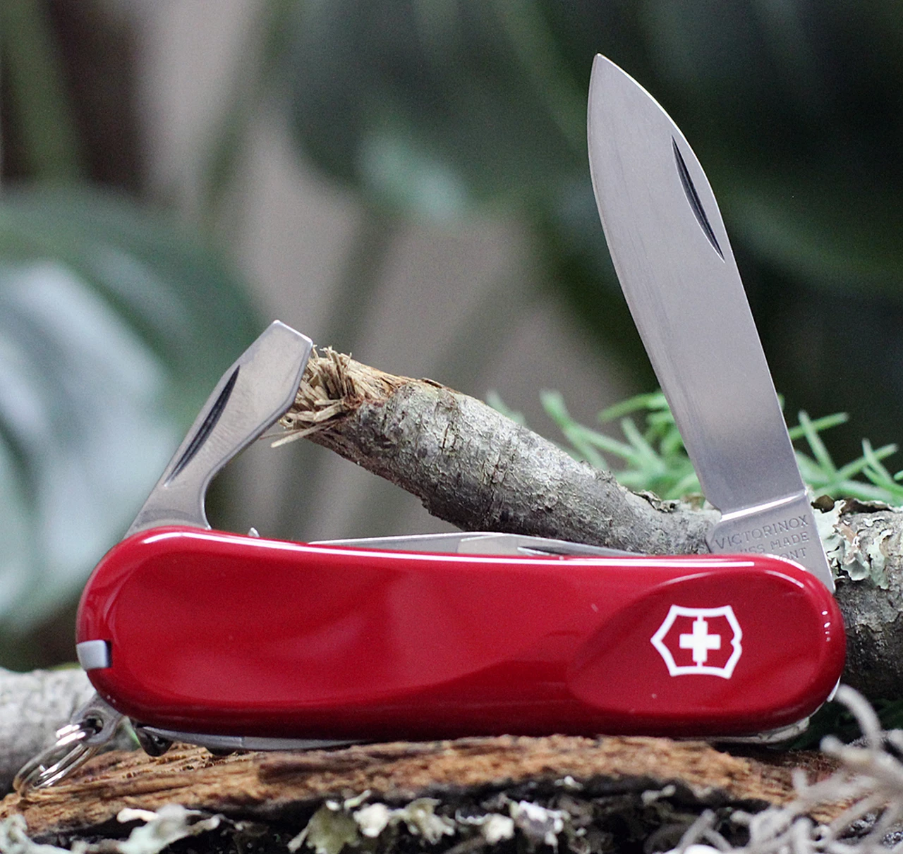 Victorinox Swiss Army Evolution 10 Swiss Army Knife, 13 Functions, Red 1 Victorinox Swiss Army Evolution 10 Swiss Army Knife, 13 Functions, Red