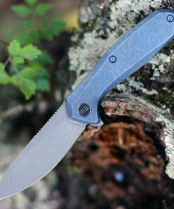 We Knife Co. We Knife 2005B Mote, 2.66" CPM S35VN Gray Stonewash Plain Blade, Blue Titanium Handle