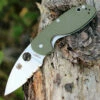 Spyderco Knives Spyderco C216GPSGR EFFICIENT, Satin Part-Serrated Blade, Green G-10 Handle