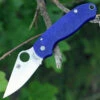 Spyderco Knives Spyderco Para-Military 3 G-10 Dark Blue C223GPDBL, 2.95" CPM S110V Plain Blade