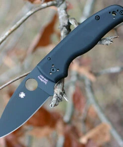 Spyderco Knives Spyderco C229GPBK Shaman, 3.58" CPM S30V Plain Black Blade, Black G-10 Handle