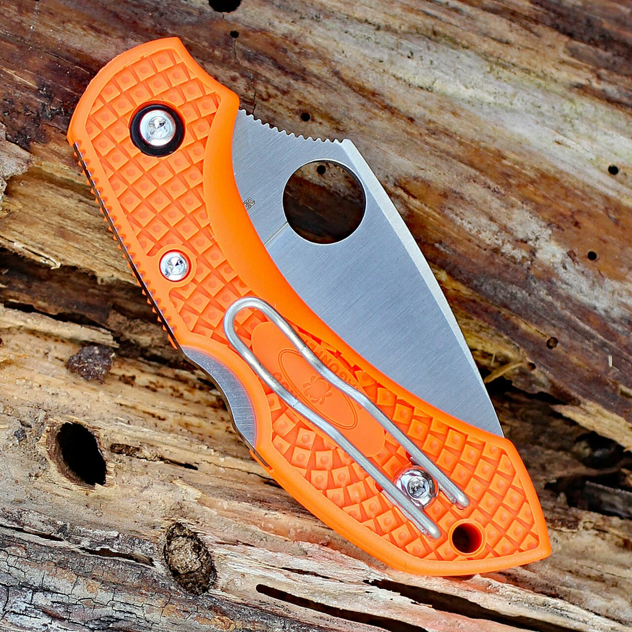 Spyderco Knives Spyderco C28POR2 Dragonfly 2, 2.30" VG-10 Plain Blade, Orange FRN Handle 4 Spyderco Knives Spyderco C28POR2 Dragonfly 2, 2.30" VG-10 Plain Blade, Orange FRN Handle - Image 4