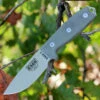 ESEE Knives ESEE 3P-DT, Plain Edge, Foliage Green Molded Sheath