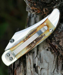 Case 65314 A/O Mid-Folding Hunter, Bonestag Handle (6.51265AC SS) 6 Case 65314 A/O Mid-Folding Hunter, Bonestag Handle (6.51265AC SS) -Buck Knives Sales 65314.1 02566.1585324061