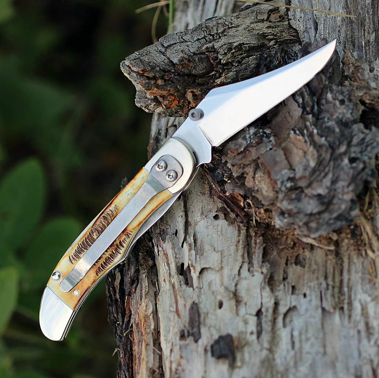 Case 65314 A/O Mid-Folding Hunter, Bonestag Handle (6.51265AC SS) 2 Case 65314 A/O Mid-Folding Hunter, Bonestag Handle (6.51265AC SS) - Image 2