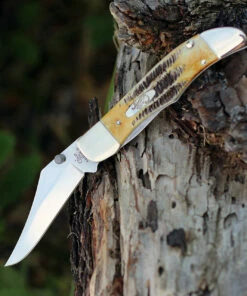 Case 65314 A/O Mid-Folding Hunter, Bonestag Handle (6.51265AC SS)