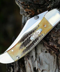 Case 65314 A/O Mid-Folding Hunter, Bonestag Handle (6.51265AC SS) 7 Case 65314 A/O Mid-Folding Hunter, Bonestag Handle (6.51265AC SS) -Buck Knives Sales 65314 1 78873.1585324061