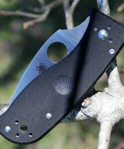 Spyderco Knives Spyderco C69GP3 LIL' TEMPERANCE 3, 2.9" CPMS30V Plain Blade, G-10 Handle -Buck Knives Sales 69gp3.3 82749.1566585889