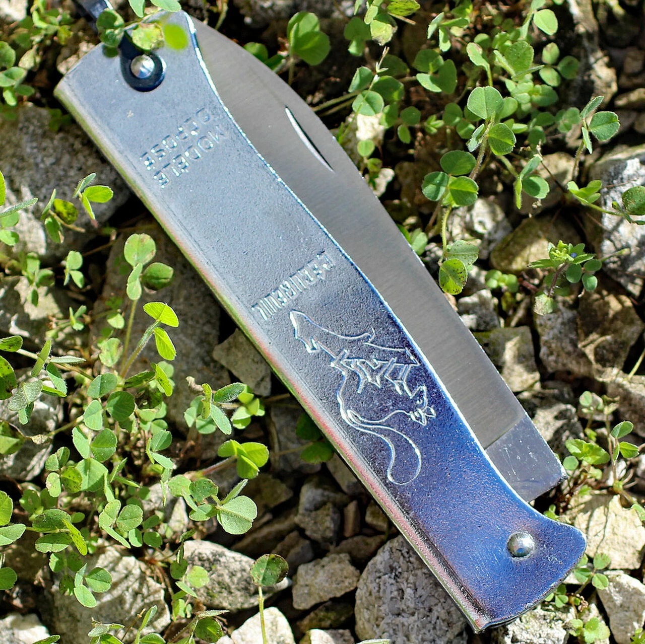 Douk-Douk Folder - Squirrel. 3 5/16" carbon steel blade. Silver finish folded steel handles with bail. 3 Douk-Douk Folder - Squirrel. 3 5/16" carbon steel blade. Silver finish folded steel handles with bail. - Image 3