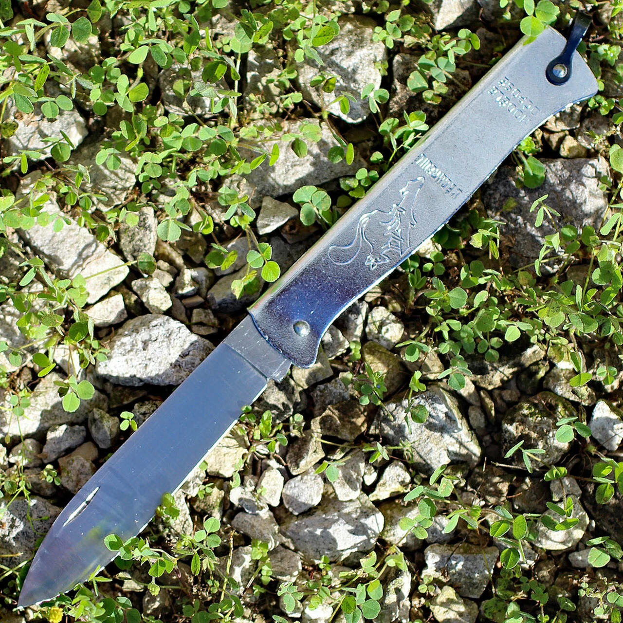 Douk-Douk Folder - Squirrel. 3 5/16" carbon steel blade. Silver finish folded steel handles with bail. 1 Douk-Douk Folder - Squirrel. 3 5/16" carbon steel blade. Silver finish folded steel handles with bail.