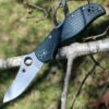 Spyderco Knives Spyderco C90PGRE2 Stretch 2 Lightweight, 3.45" ZDP-189 Plain Blade, British Racing Green FRN Handle
