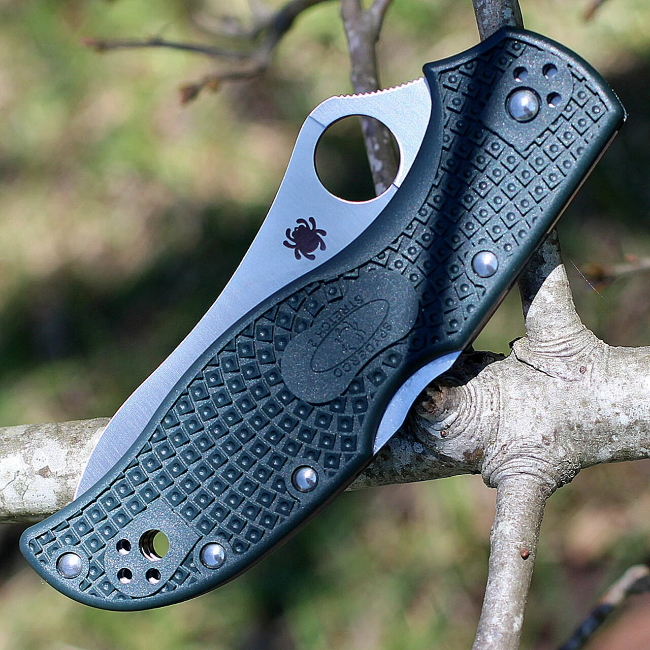 Spyderco Knives Spyderco C90PGRE2 Stretch 2 Lightweight, 3.45" ZDP-189 Plain Blade, British Racing Green FRN Handle 4 Spyderco Knives Spyderco C90PGRE2 Stretch 2 Lightweight, 3.45" ZDP-189 Plain Blade, British Racing Green FRN Handle - Image 4