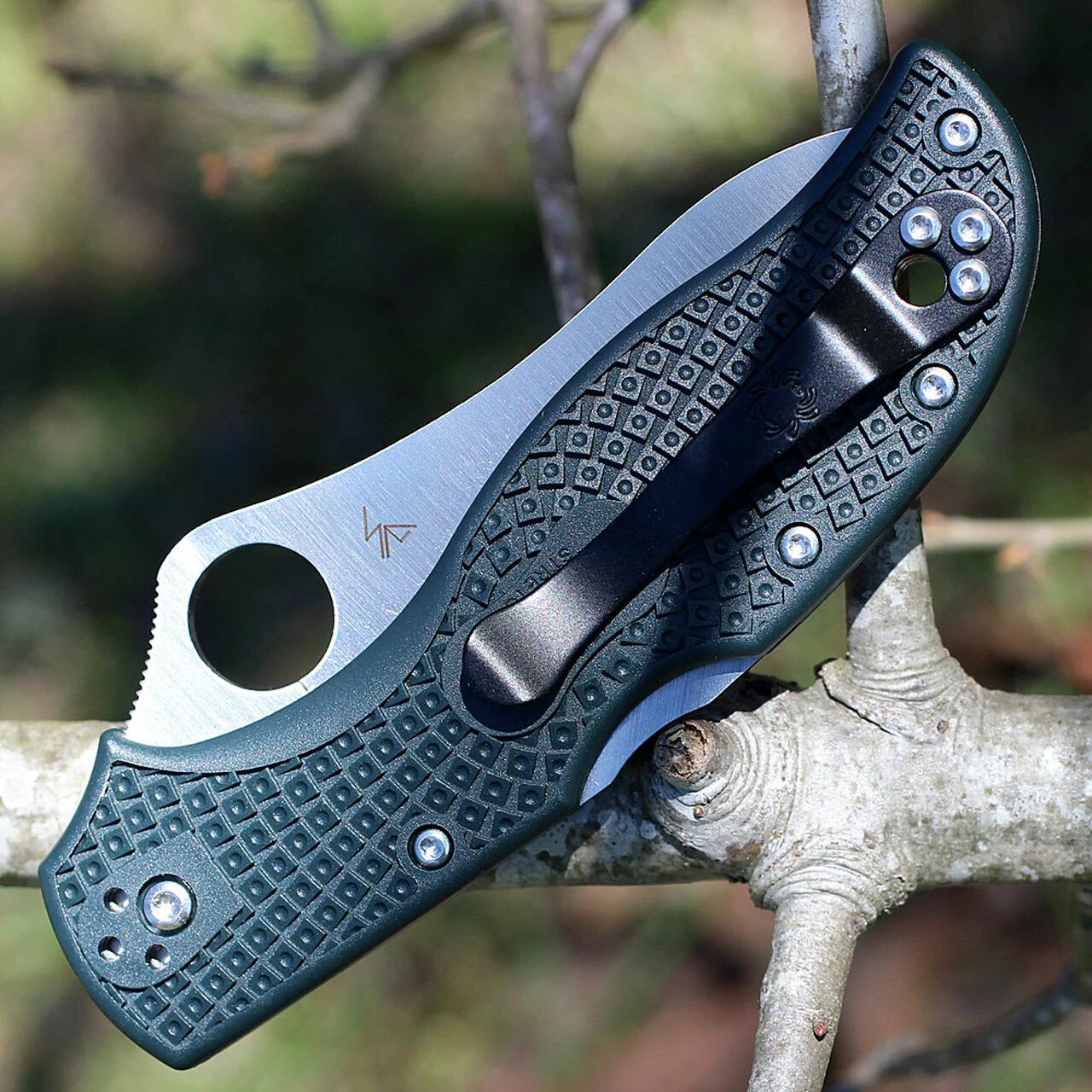 Spyderco Knives Spyderco C90PGRE2 Stretch 2 Lightweight, 3.45" ZDP-189 Plain Blade, British Racing Green FRN Handle 3 Spyderco Knives Spyderco C90PGRE2 Stretch 2 Lightweight, 3.45" ZDP-189 Plain Blade, British Racing Green FRN Handle - Image 3