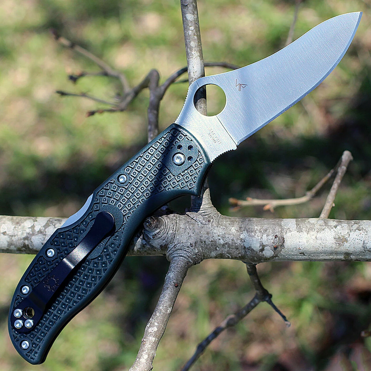 Spyderco Knives Spyderco C90PGRE2 Stretch 2 Lightweight, 3.45" ZDP-189 Plain Blade, British Racing Green FRN Handle 2 Spyderco Knives Spyderco C90PGRE2 Stretch 2 Lightweight, 3.45" ZDP-189 Plain Blade, British Racing Green FRN Handle - Image 2