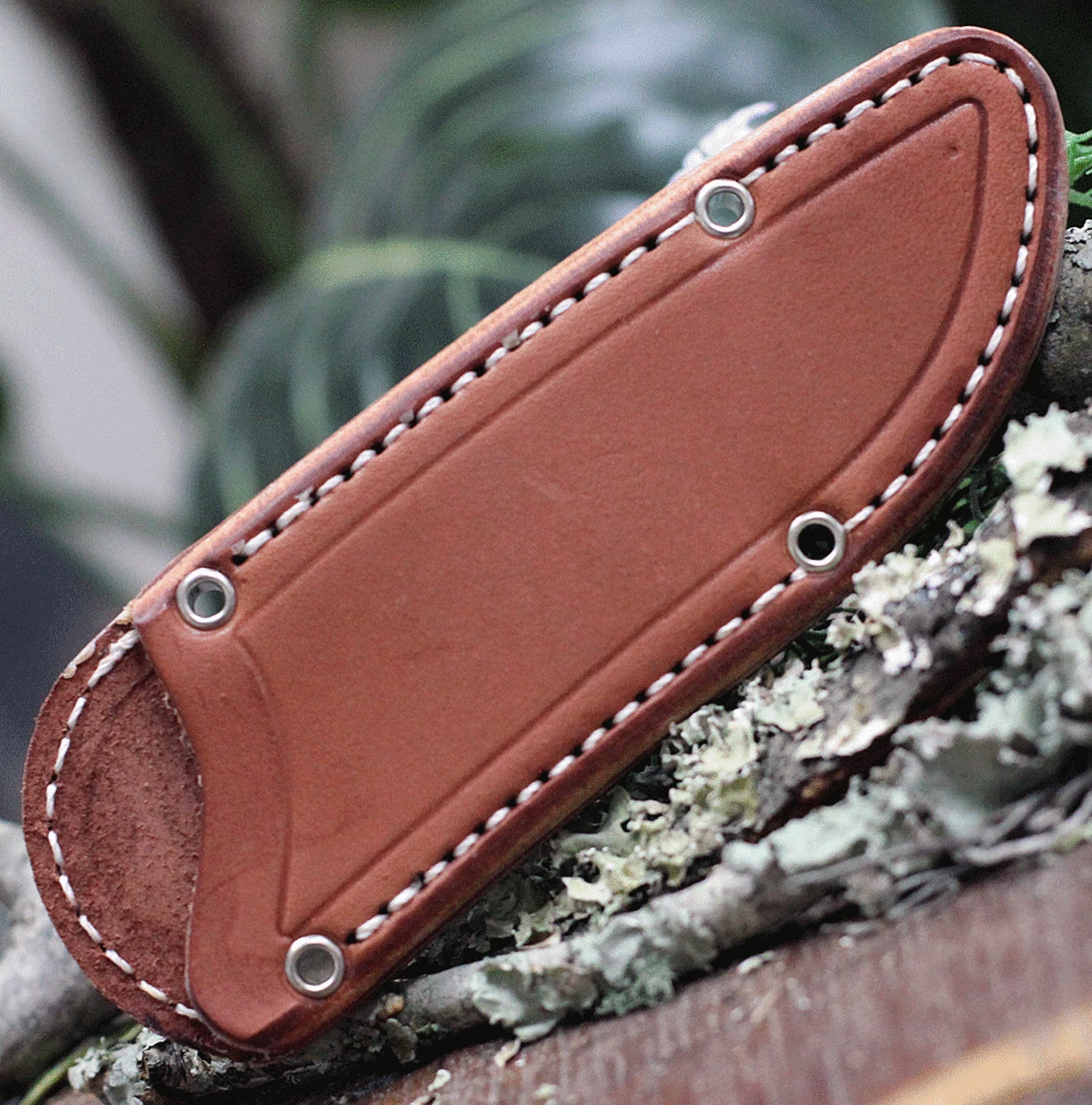 Bark River Knives Bark River Mini Fox River 01023MGC, 2.9" 3V Plain Blade, Green Canvas Micarta Handle 3 Bark River Knives Bark River Mini Fox River 01023MGC, 2.9" 3V Plain Blade, Green Canvas Micarta Handle - Image 3