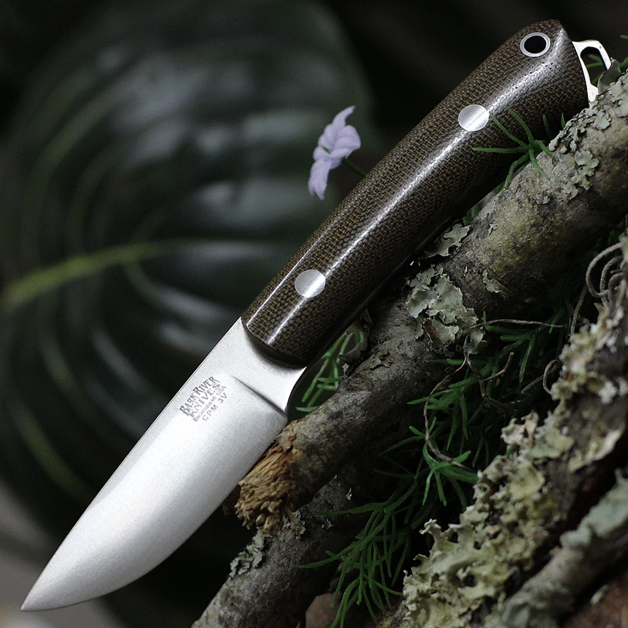 Bark River Knives Bark River Mini Fox River 01023MGC, 2.9" 3V Plain Blade, Green Canvas Micarta Handle 1 Bark River Knives Bark River Mini Fox River 01023MGC, 2.9" 3V Plain Blade, Green Canvas Micarta Handle