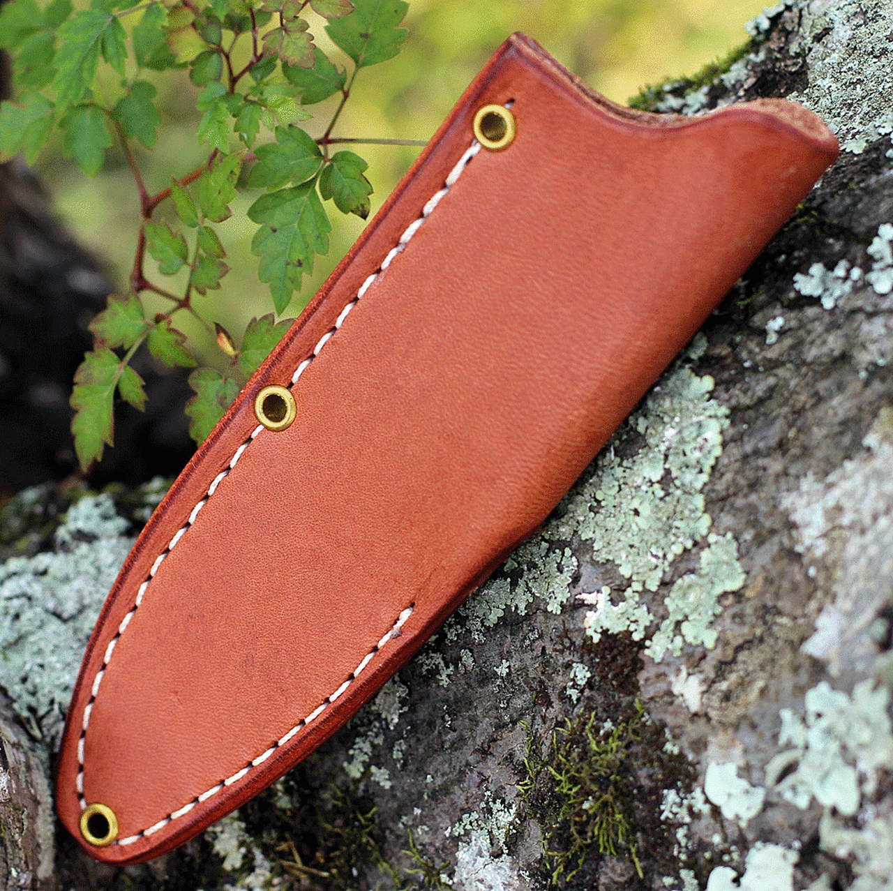 Bark River Knives Bark River Mountaineer II - Green Canvas Micarta (3.5" CPM CRU-Wear) 02-064-MGC 4 Bark River Knives Bark River Mountaineer II - Green Canvas Micarta (3.5" CPM CRU-Wear) 02-064-MGC - Image 4