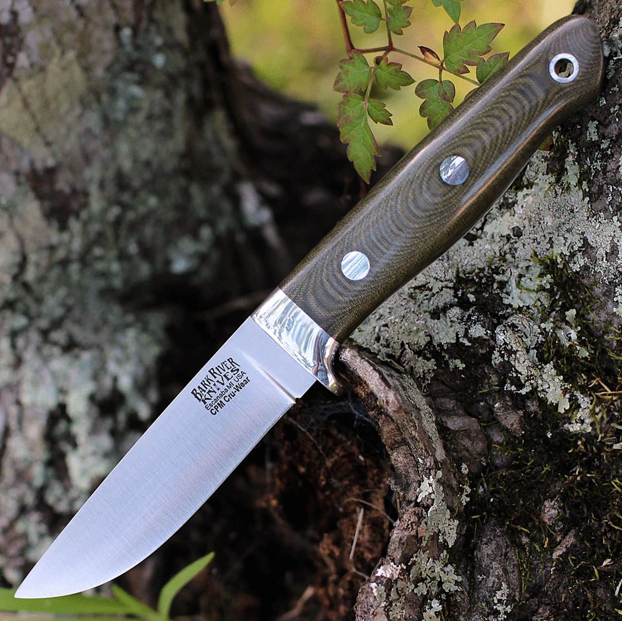 Bark River Knives Bark River Mountaineer II - Green Canvas Micarta (3.5" CPM CRU-Wear) 02-064-MGC 1 Bark River Knives Bark River Mountaineer II - Green Canvas Micarta (3.5" CPM CRU-Wear) 02-064-MGC