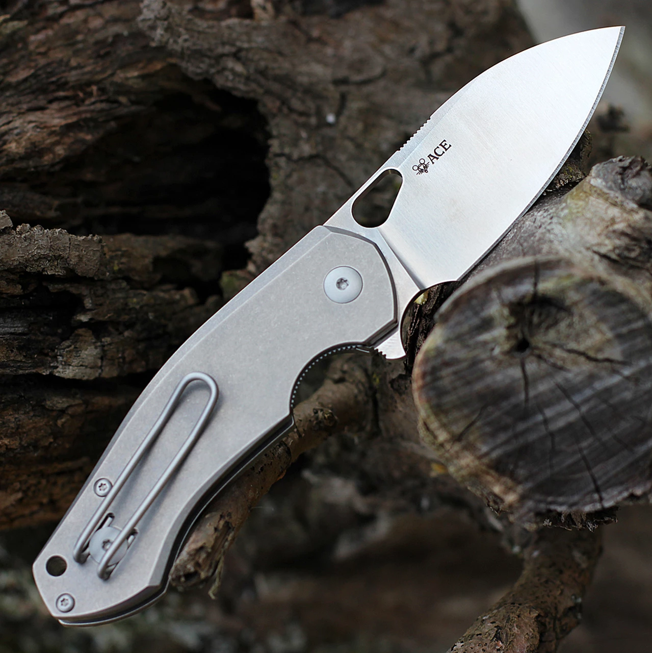 GiantMouse ACE Biblio Flipper, 2.9" Satin M390 Drop Point Blade, Titanium Handle 2 GiantMouse ACE Biblio Flipper, 2.9" Satin M390 Drop Point Blade, Titanium Handle - Image 2