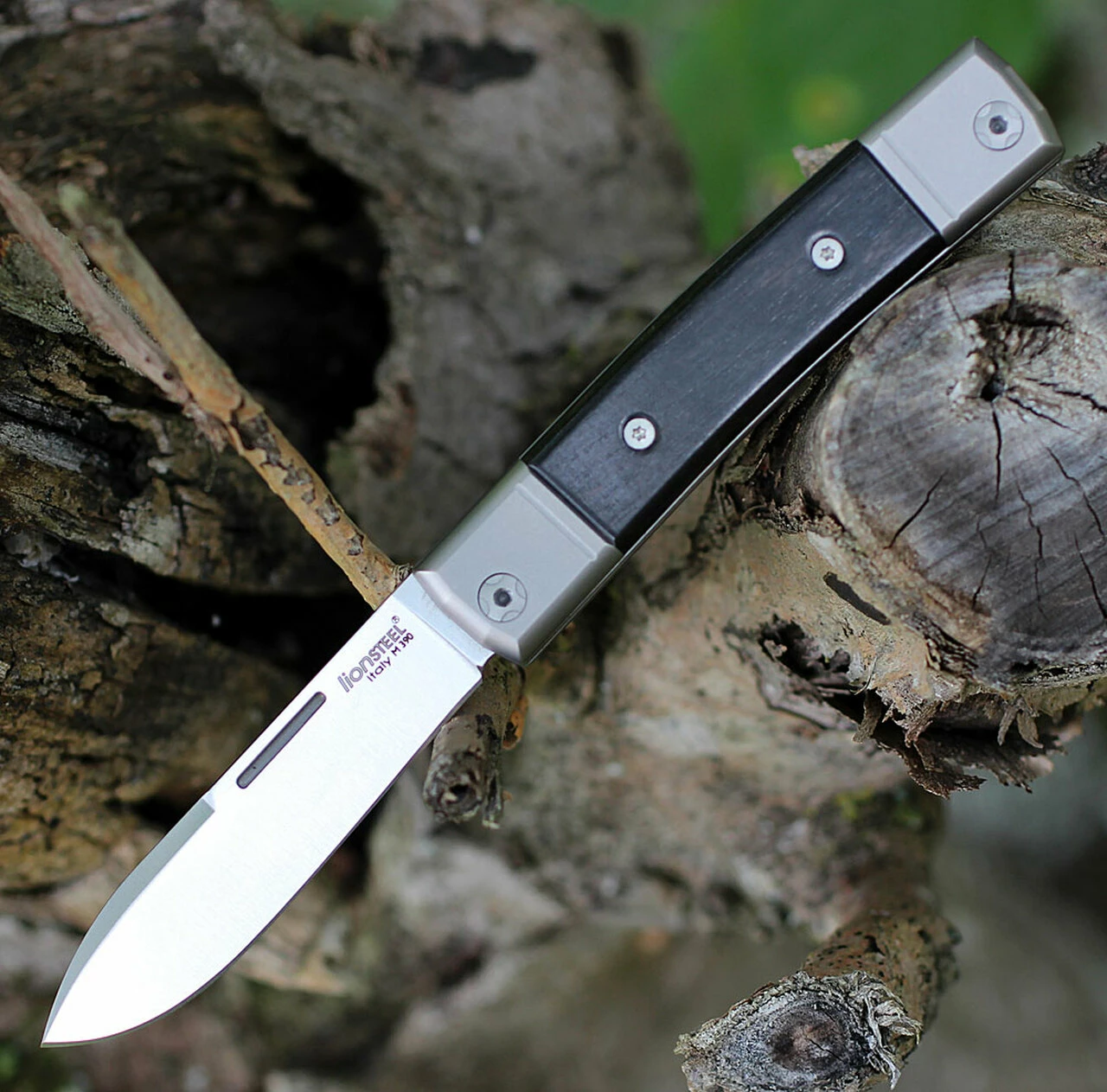 LionSteel Bestman BM2EB Slip Joint, 2.80" M390 Steel Drop Point Blade, Ebony Wood Handle 1 LionSteel Bestman BM2EB Slip Joint, 2.80" M390 Steel Drop Point Blade, Ebony Wood Handle