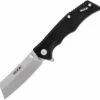 Buck Knives Trunk 0252BKS, 2.875" 7Cr Stainless Steel Satin Cleaver Blade, Black G-10 Handles