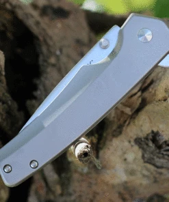 Buck Knives Odessa 0254SSS, 3.125" 7Cr Stainless Steel Satin Drop Point Blade, Gray Stainless Steel Handles -Buck Knives Sales BU254SS.3 29107.1625858471