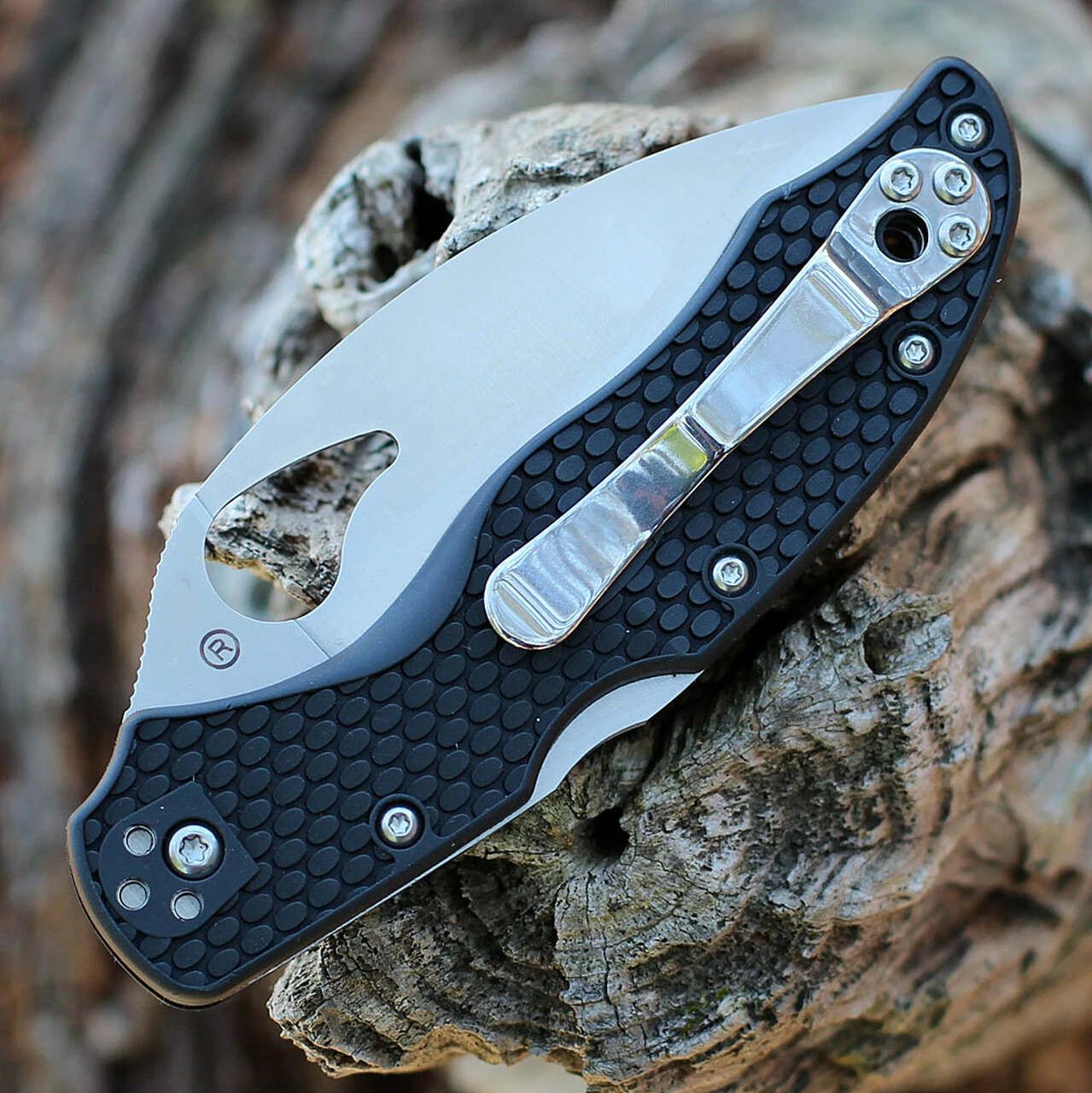 Byrd Knives Byrd Harrier 2 - Blk FRN (3.38" 8Cr13MoV SpyderEdge) BY01SBKWC2 4 Byrd Knives Byrd Harrier 2 - Blk FRN (3.38" 8Cr13MoV SpyderEdge) BY01SBKWC2 - Image 4