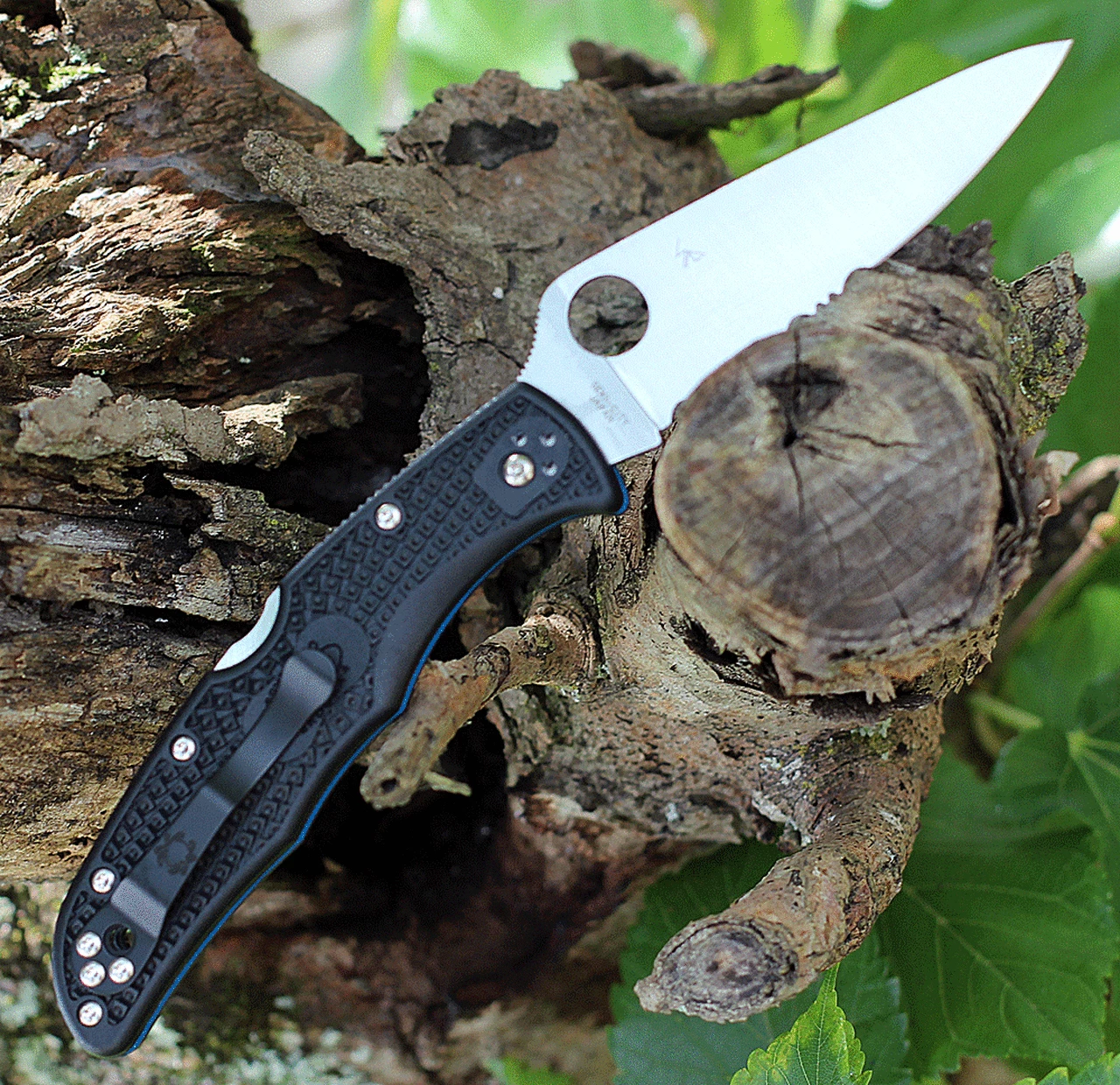 Spyderco Knives Spyderco Endura Thin Blue Line 3.80" Satin Black FRN C10FBKBL 2 Spyderco Knives Spyderco Endura Thin Blue Line 3.80" Satin Black FRN C10FBKBL - Image 2