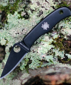 Spyderco Knives Spyderco Bug Knife Black Stainless Steel(1.3" Blk 3Cr13 ) C133BKP