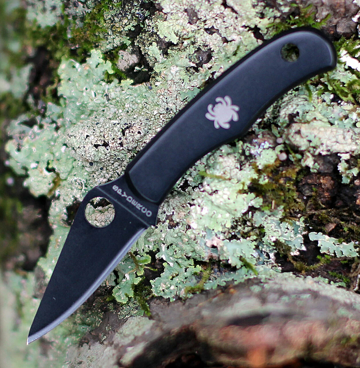 Spyderco Knives Spyderco Bug Knife Black Stainless Steel(1.3" Blk 3Cr13 ) C133BKP 1 Spyderco Knives Spyderco Bug Knife Black Stainless Steel(1.3" Blk 3Cr13 ) C133BKP