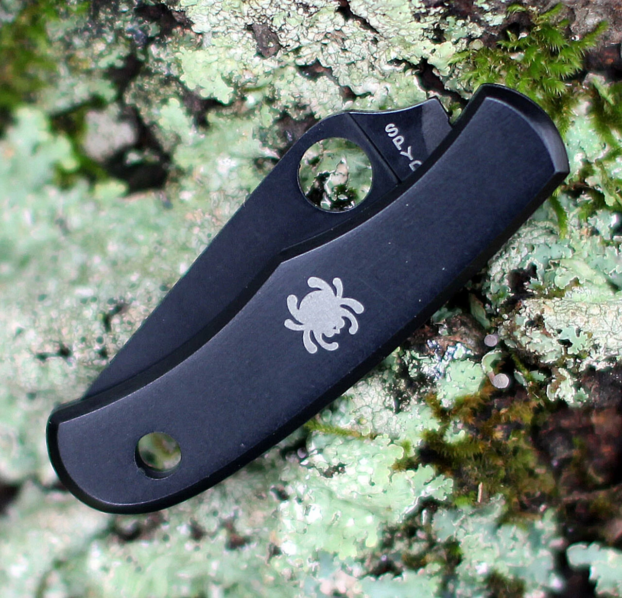 Spyderco Knives Spyderco Bug Knife Black Stainless Steel(1.3" Blk 3Cr13 ) C133BKP 3 Spyderco Knives Spyderco Bug Knife Black Stainless Steel(1.3" Blk 3Cr13 ) C133BKP - Image 3