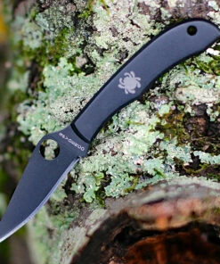 Spyderco Knives Spyderco Honeybee C137BKP, 1.625" 3Cr Black Plain Blade, Stainless w/Black Oxide Handle