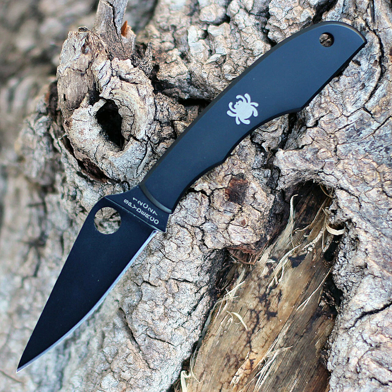 Spyderco Knives Spyderco Grasshopper C138BKP, 2.27" Black Sandvick 12C27 Plain Bl;ade, Black Coating Stainless Handle 1 Spyderco Knives Spyderco Grasshopper C138BKP, 2.27" Black Sandvick 12C27 Plain Bl;ade, Black Coating Stainless Handle