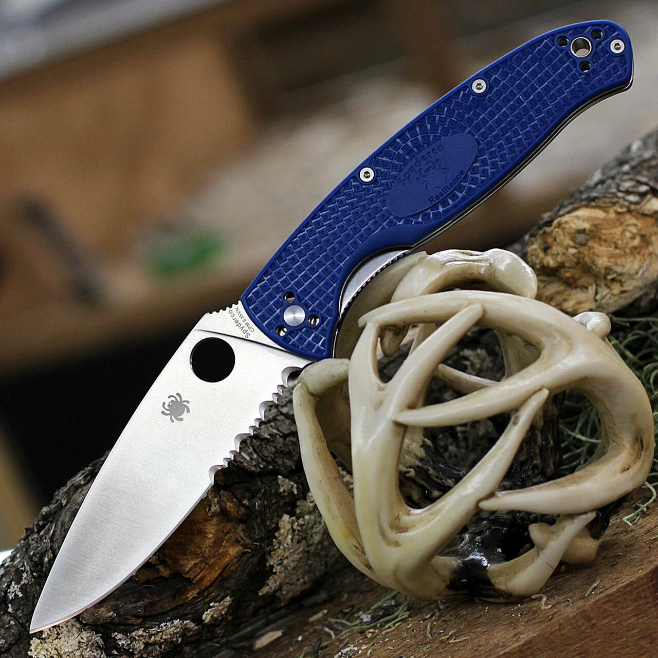 Spyderco Knives Spyderco Resilience Lightweight - Blue FRN (4.25" CPM-S35VN Satin ComboEdge) C142PSBL 1 Spyderco Knives Spyderco Resilience Lightweight - Blue FRN (4.25" CPM-S35VN Satin ComboEdge) C142PSBL