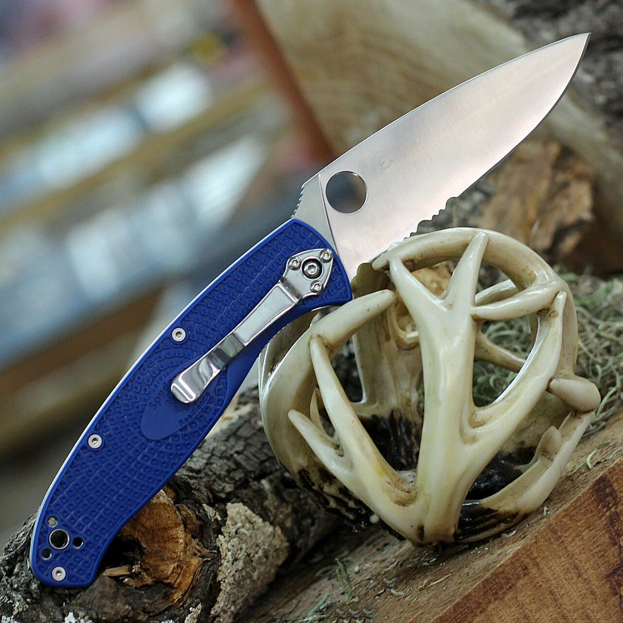 Spyderco Knives Spyderco Resilience Lightweight - Blue FRN (4.25" CPM-S35VN Satin ComboEdge) C142PSBL 2 Spyderco Knives Spyderco Resilience Lightweight - Blue FRN (4.25" CPM-S35VN Satin ComboEdge) C142PSBL - Image 2