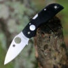 Spyderco Knives Spyderco Chaparral Sun and Moon C152GSMP, 2.8" CTS XHP Satin Plain Blade, G-10 Handle