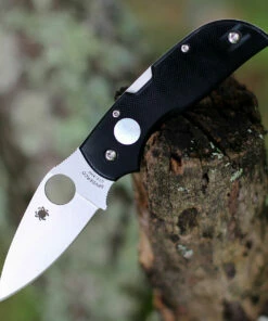 Spyderco Knives Spyderco Chaparral Sun and Moon C152GSMP, 2.8" CTS XHP Satin Plain Blade, G-10 Handle