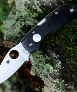 Spyderco Knives Spyderco Chaparral Sun and Moon C152GSMP, 2.8" CTS XHP Satin Plain Blade, G-10 Handle -Buck Knives Sales C152GSMP.3 21386.1597432799