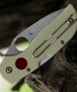 Spyderco Knives Spyderco Chaparral Sun and Moon C152GSMP, 2.8" CTS XHP Satin Plain Blade, G-10 Handle -Buck Knives Sales C152GSMP.4 14250.1597432799