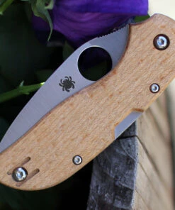 Spyderco Knives Spyderco Chaparral Birdseye Maple C152WDP, 2.79" CTS XHP Plain Blade, Wood Handle -Buck Knives Sales C152WDP.4 02255.1611932193
