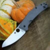 Spyderco Knives Spyderco C211TIP Spydiechef, 3.5" LC200 N Tool Steel Plain Blade, Titanium Handles